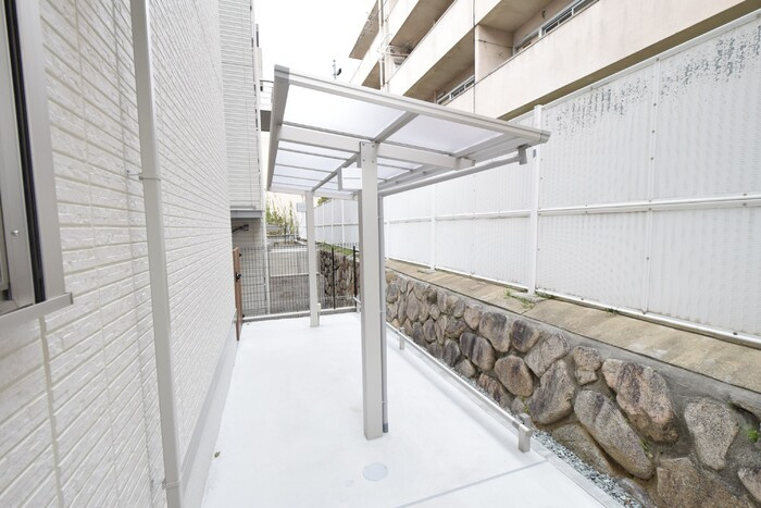 Sansevieria夏原のその他