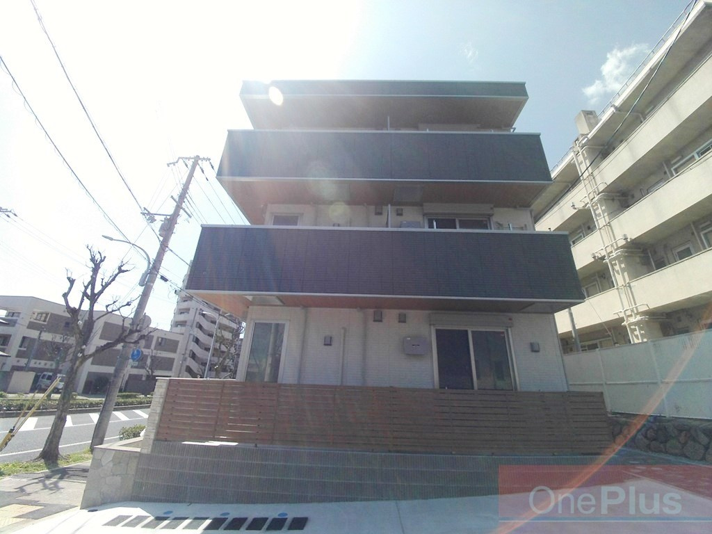 Sansevieria夏原のその他
