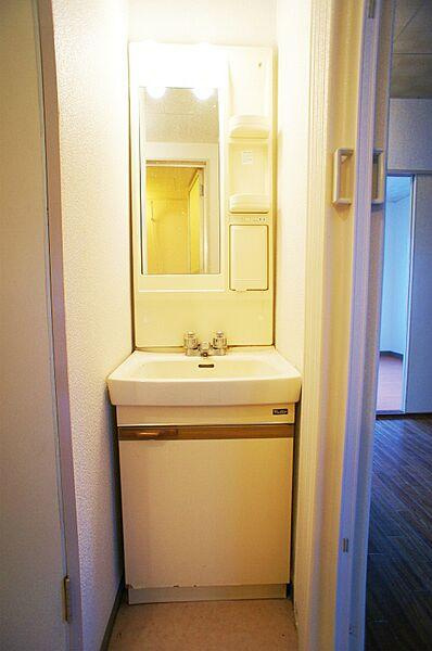 メゾン寿の洗面所