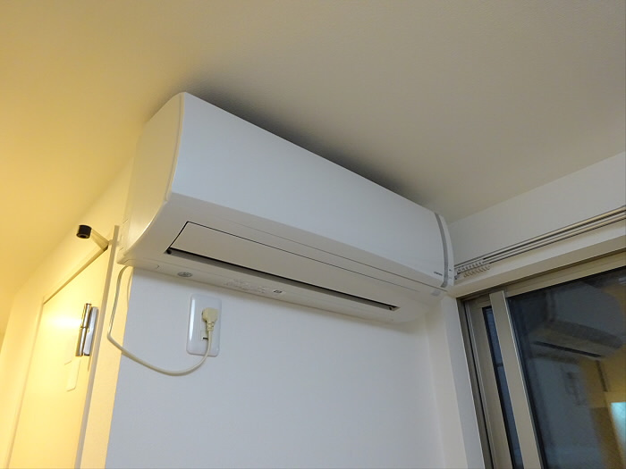 ファレノプシスのその他