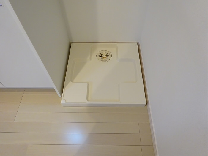 ファレノプシスの設備