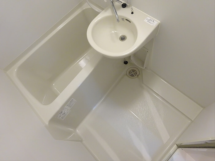 ファレノプシスの洗面所