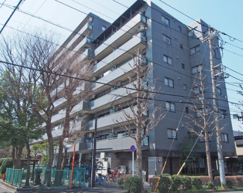 サンライフ新小岩親水公園　5階　71.92㎡　リ　ノベーション済の外観