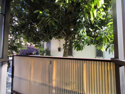 【展望】 | セブンハイツ