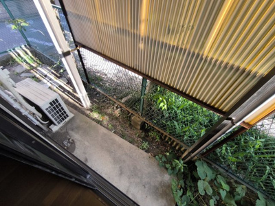 【バルコニー】 | セブンハイツ