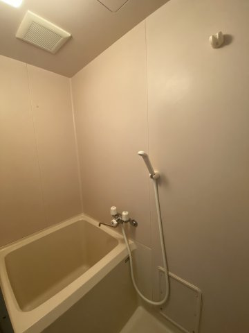 LUNA FIOREの浴室|シャワーもあるコンパクトなお風呂です。
