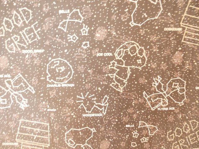 エル・モールKei２の内装|かわいい壁紙です