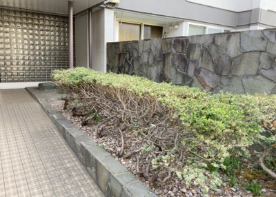 【庭】 | 東林間コーポラス | 物件によっては、入居者が個人的に使用できる専用庭がついているものもあります。また、住宅の中にある土間の部分を庭と呼ぶこともあります。庭の用途は住む人によって変わり、それによってデザインもさまざまです。