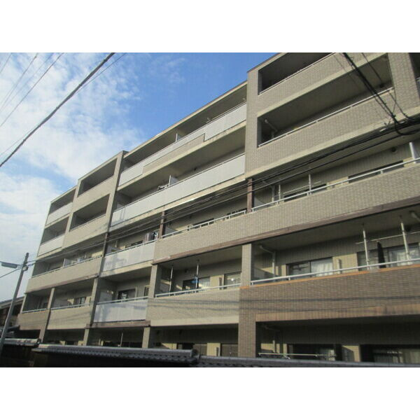 プロスペクト桂