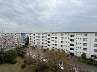 【展望】