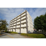 Bella Luce Bの画像