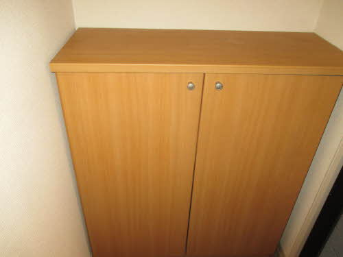 岸和田市額原町のハイツの玄関|落ち着いた玄関です