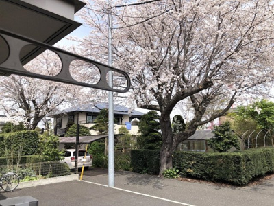 【展望】 | 差間戸建て