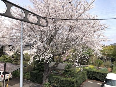 【展望】 | 差間戸建て