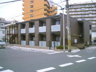 レオネクストパインツリーの画像