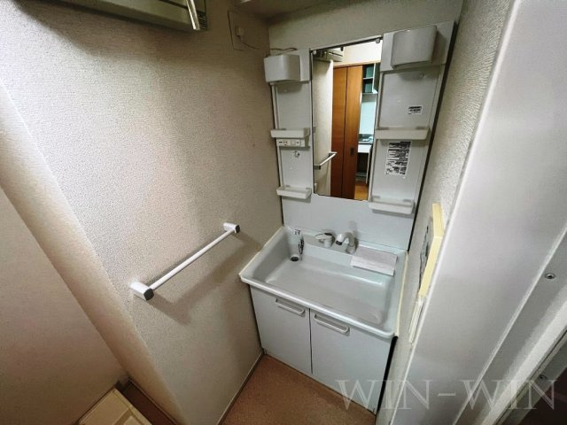 パーク プロムナードメゾンの洗面所