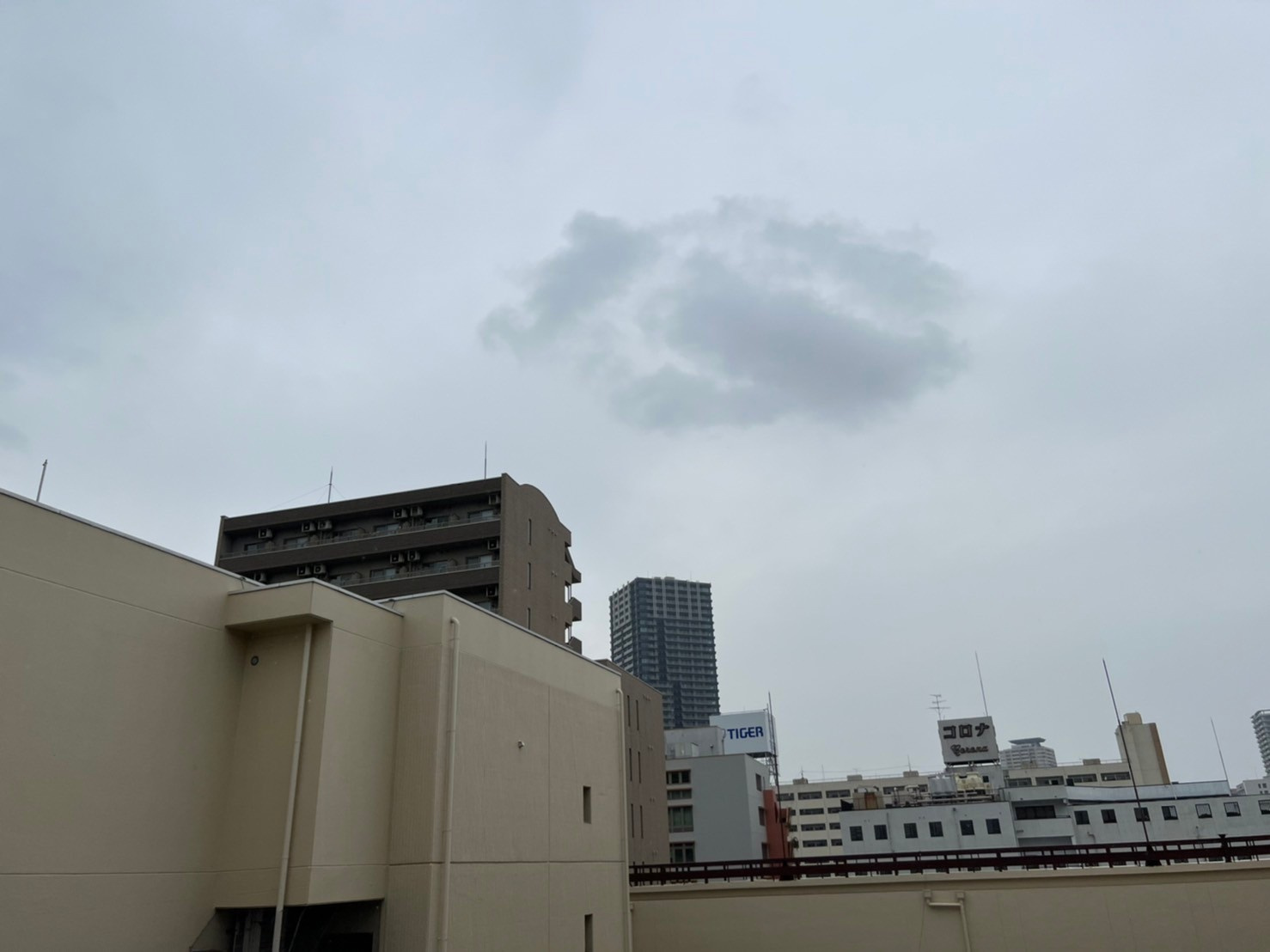 JMFレジデンス名駅南|名古屋市の賃貸ならMy賃貸の展望|JMFレジデンス名駅南