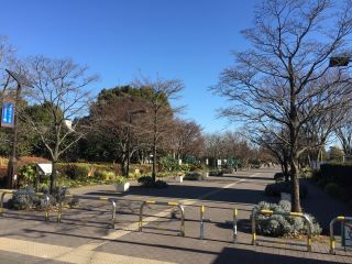 都立武蔵野中央公園まで600ｍ