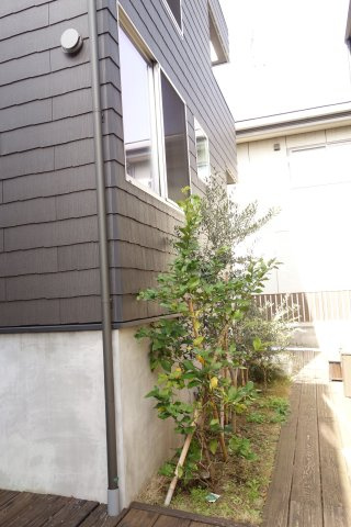 鵠沼桜が岡３丁目新築戸建ての庭|お庭で自由な時間を過ごせます