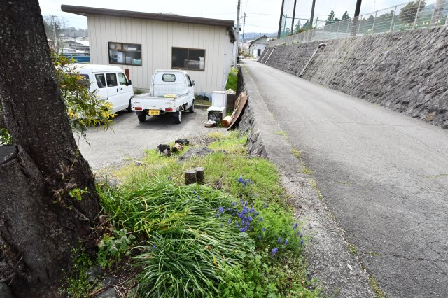 飲食店戸建の周辺|西側道路