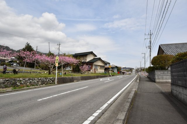 飲食店戸建の周辺|東側道路（北を撮影）
