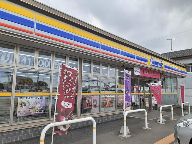 デスパシオのその他|その他