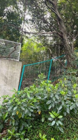 静岡市清水区上原１丁目205の外観