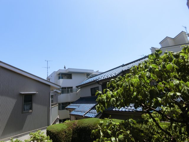 トークハウスの展望