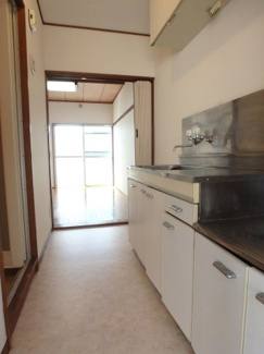  | エクセルウスイ