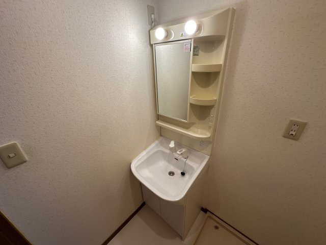 ボニート　カージェⅢの洗面所