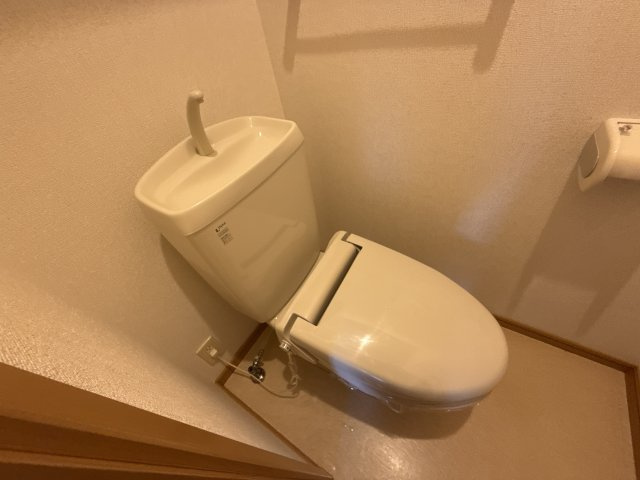 プラム・ジェルメのトイレ