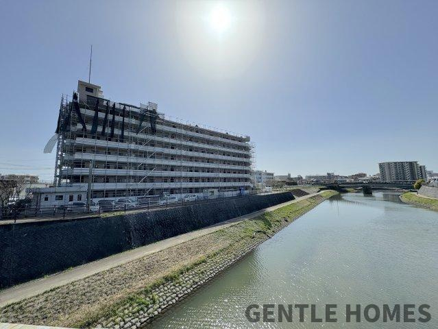 アムール板付の外観