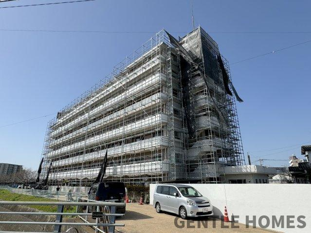 アムール板付の外観