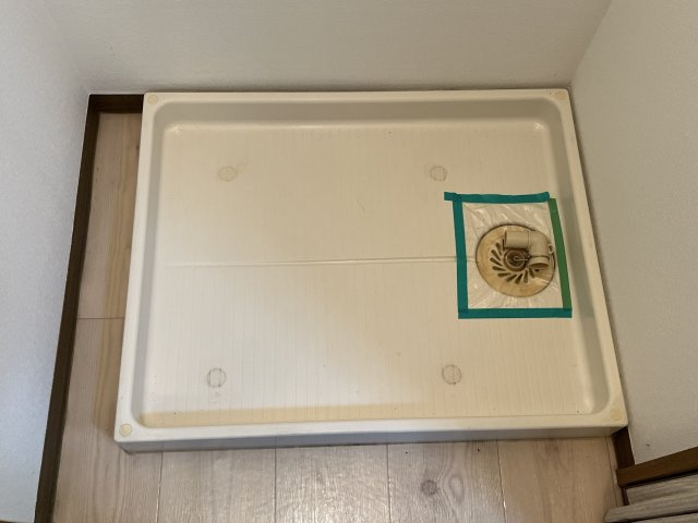 ハーブ辻井のその他