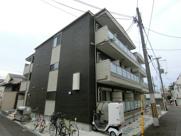 F asecia Berylの画像