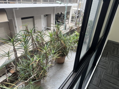 【バルコニー】 | 豊強ビル