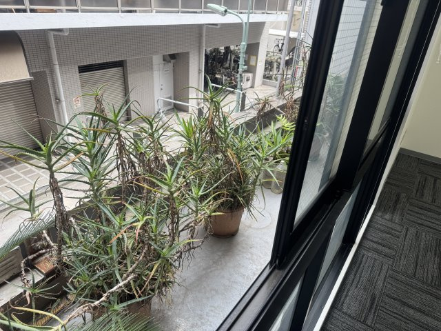 【バルコニー】 | 豊強ビル