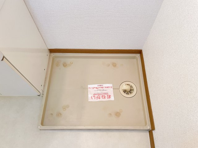 エクセルグリーンの玄関