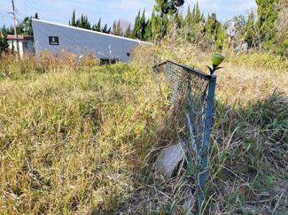 【周辺】 | 洲本市五色町鳥飼中字大瀬　売土地