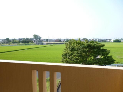 【展望】 | コンフォート21