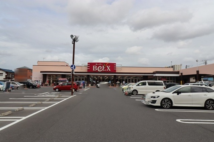 サニーフラット Ｂの周辺|ベルクス 松飛台店（1216ｍ）