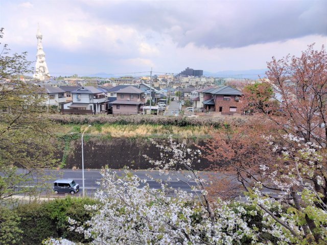 【バルコニー】 | ガーデンシティコープ金剛東 6棟