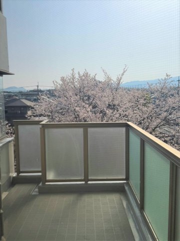 【展望】 | ガーデンシティコープ金剛東 6棟