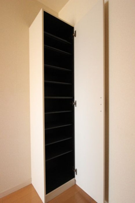 【エントランス】 | St.PHOENIXII | 別号室の写真になります。現況優先。