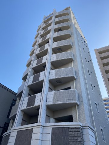 Lutella danbaraの画像