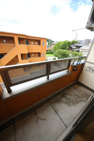 ノビリティマルユウの展望