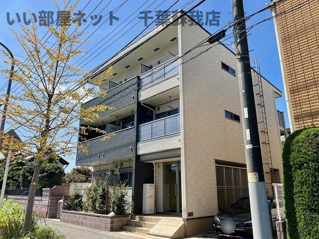 サンライズ　白ゆり