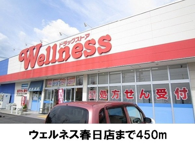 【周辺】 | メディオ・アネーロ　Ｂ | ウェルネス春日店まで450m