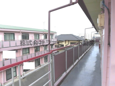 【展望】 | グレ－スコート24MK-B