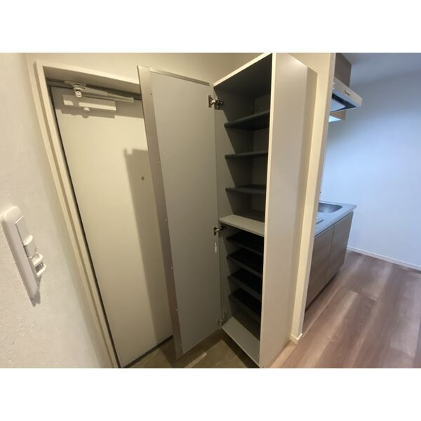 ALEGRIA寝屋川平池町の玄関|同建物反転タイプの室内写真